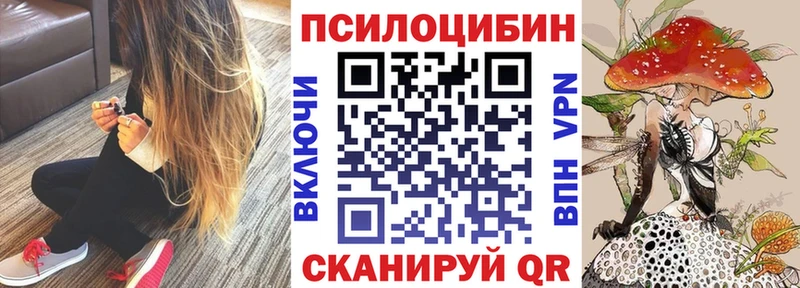 Галлюциногенные грибы MAGIC MUSHROOMS  купить закладку  Саров 